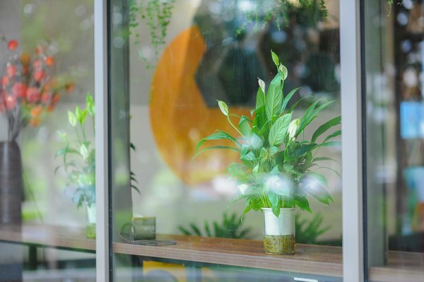 Choisir des granulés de qualité : top des prix pour pellets